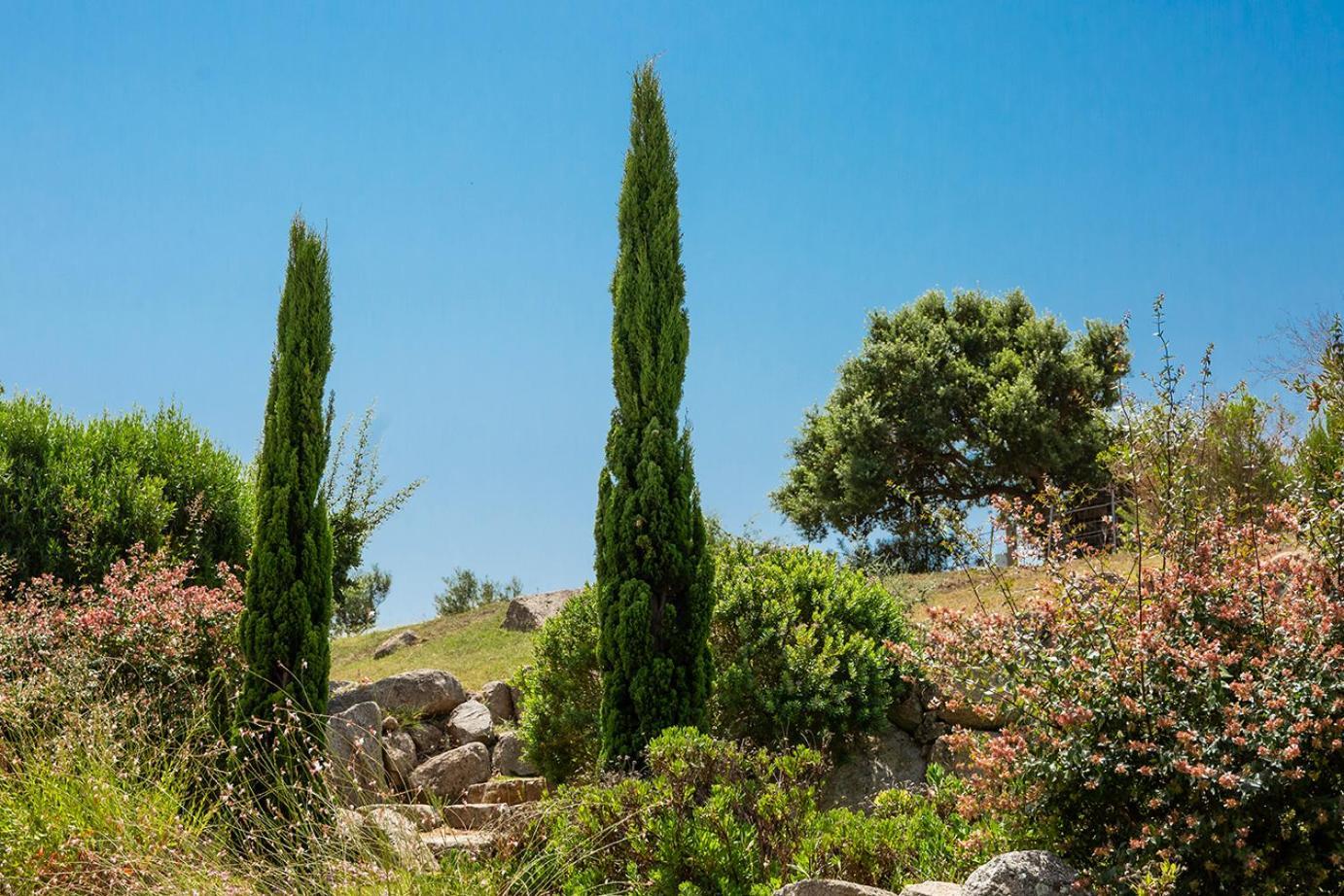Les Hameaux De Buttaciolo Villa Cuo Buitenkant foto